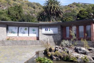 GC-Jardin Botanico Viera 2019-55.JPG